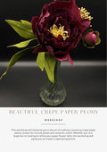 Beautiful Crepe Paper Peony Workshop (This is a physical workshop. Please WhatsApp to arrange a date and time)