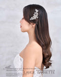 11) Large Barrette